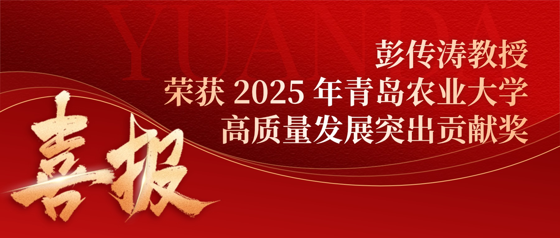 喜报 | 彭传涛教授荣获 2025 年青岛农业大学高质量发展突出贡献奖