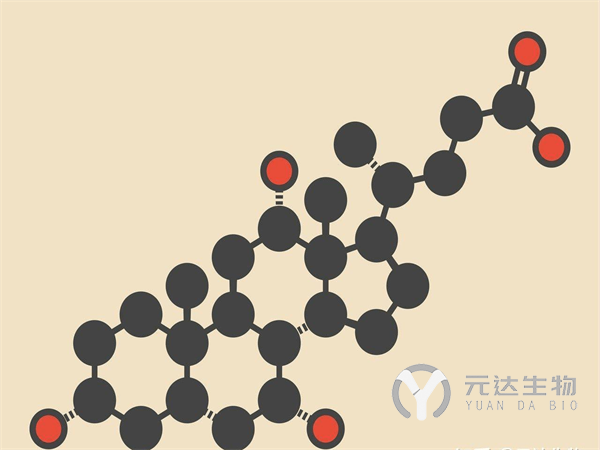 元达生物 详解后生元作用机制(图3)