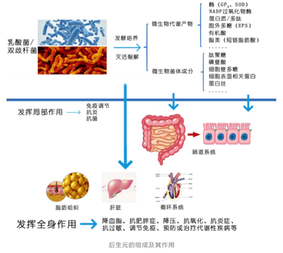 图片8.png